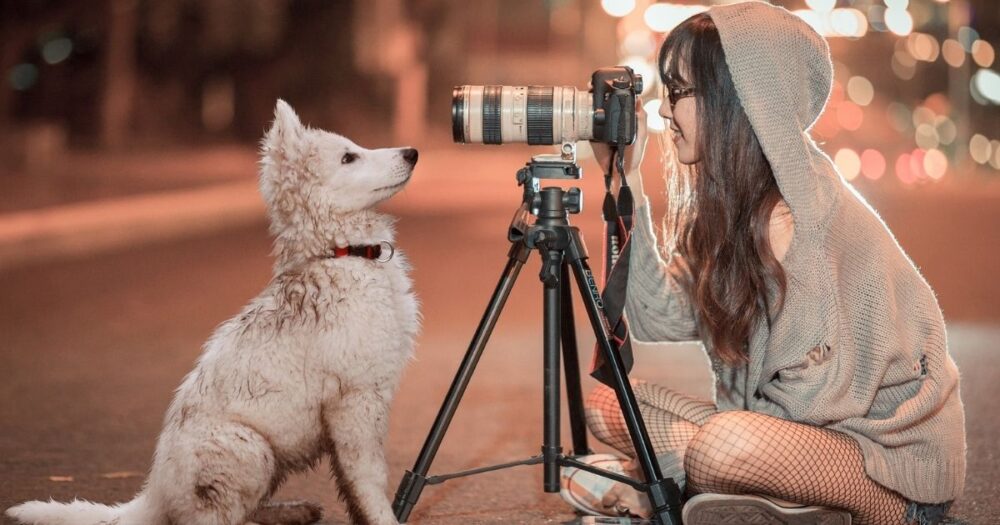 ポーズをとる犬とカメラマンの女性
