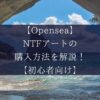 【Opensea】NTFアートの購入方法を解説！【初心者向け】